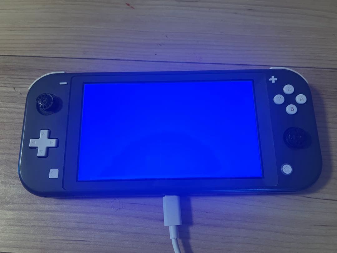 Nintendo Switch Lite グレー 本体 ジャンク 部品取り用