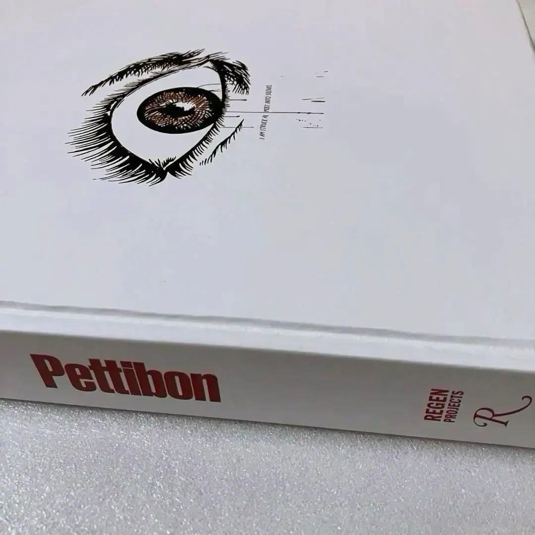 Raymond Pettibon 2013 ART BOOK 画集 大型本