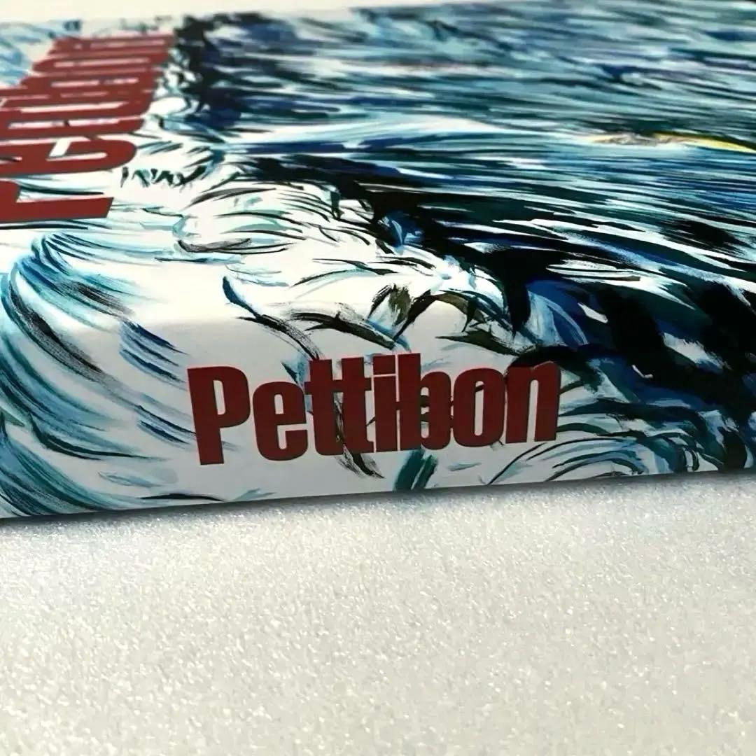 Raymond Pettibon 2013 ART BOOK 画集 大型本