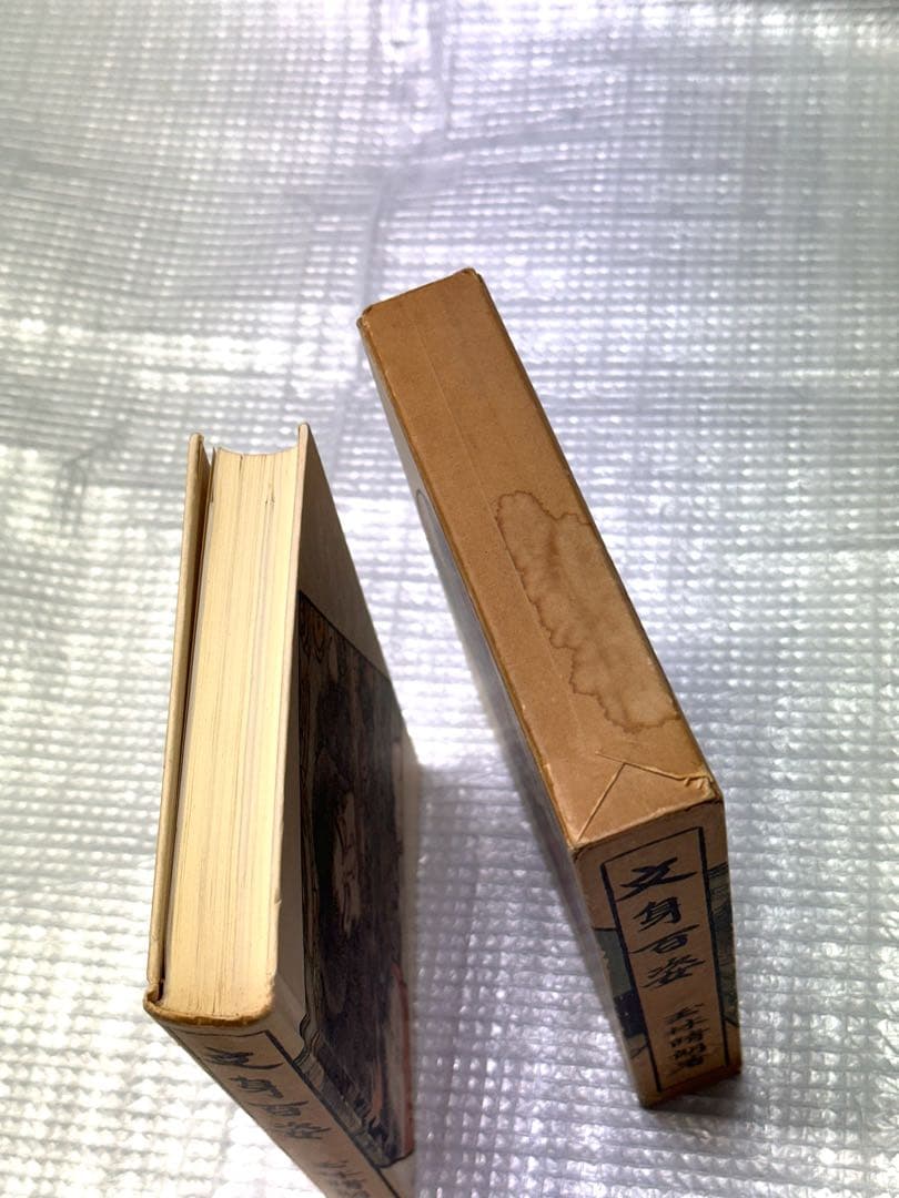 文身百姿 玉林晴朗著 昭和62年発行