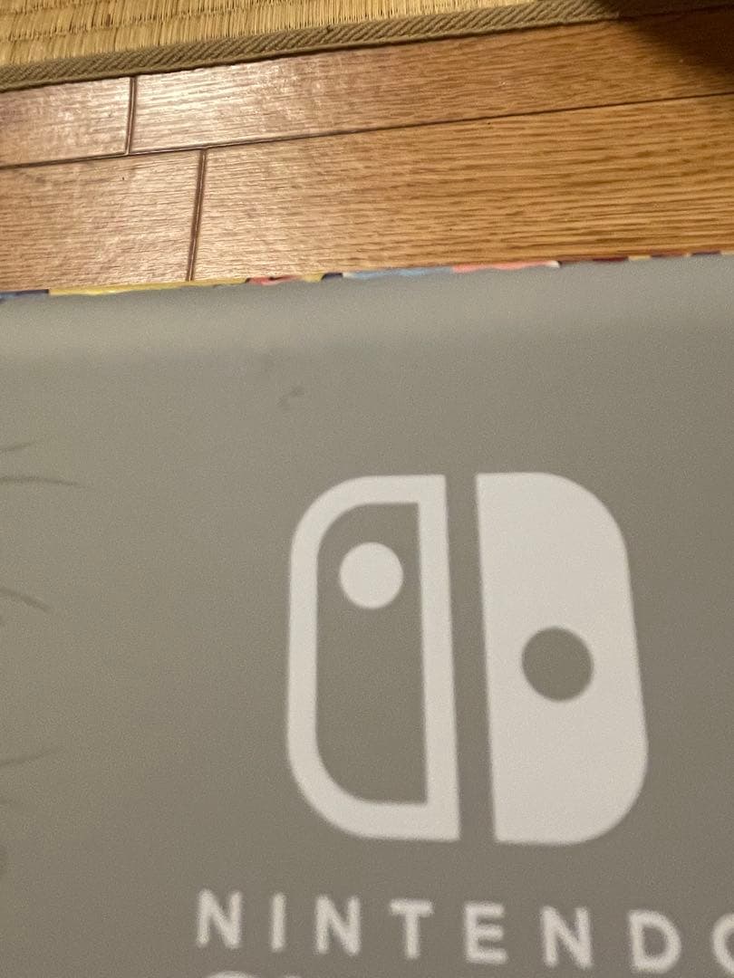 【ジャンク品】Nintendo Switch Lite ザシアン・ザマゼンタ