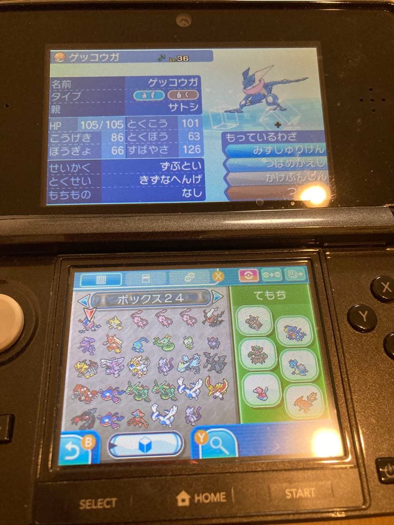 ポケットモンスター サン ニンテンドー3DS レアポケモン多数