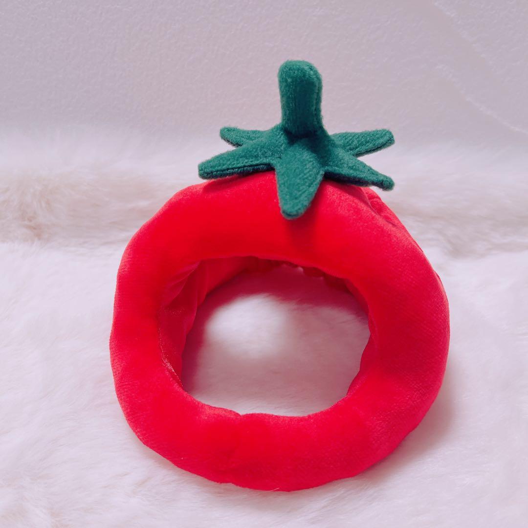 初期ピカチュウ　ハンドメイド（トマト）