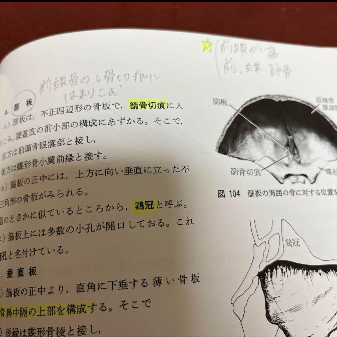 口腔解剖学 骨学 アトナーム社 元東京歯科大学教授