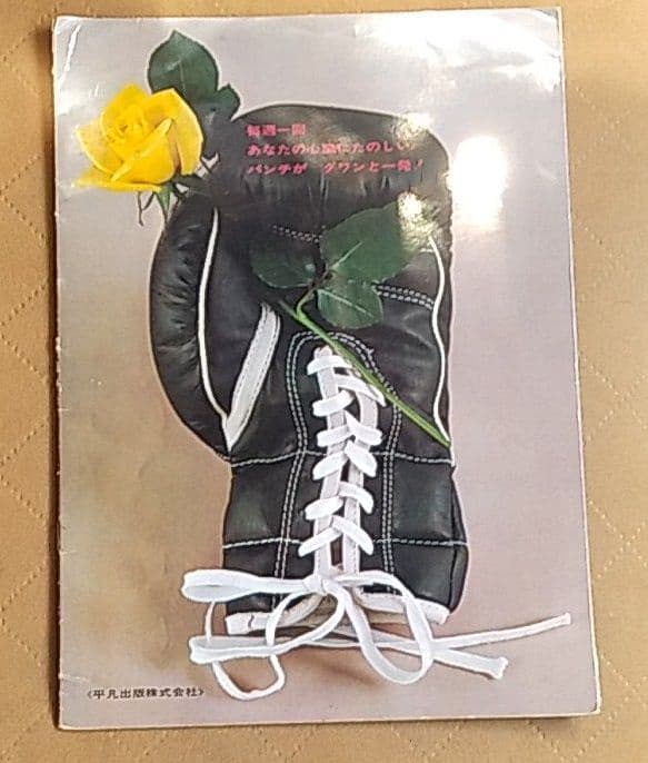 激レア 1964年 雑誌「平凡パンチ」 誕生前のパンフレット！ 昭和レトロ