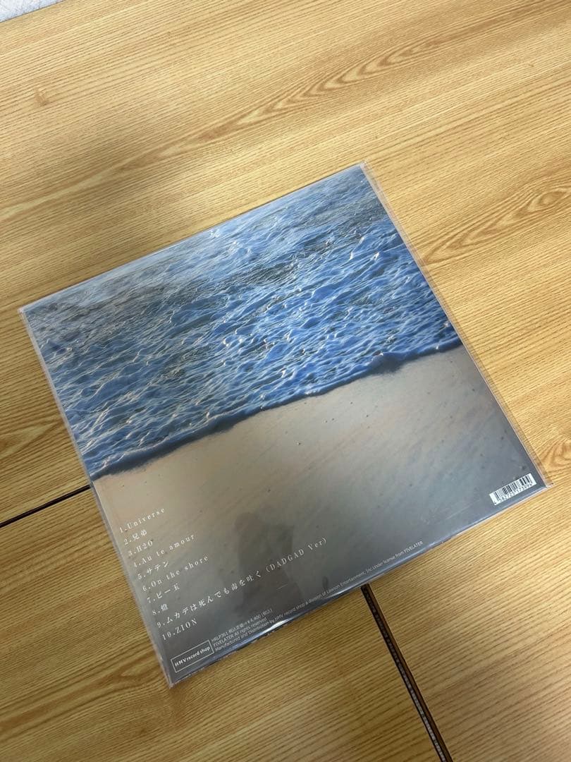 踊ってばかりの国　On the shore LPレコード
