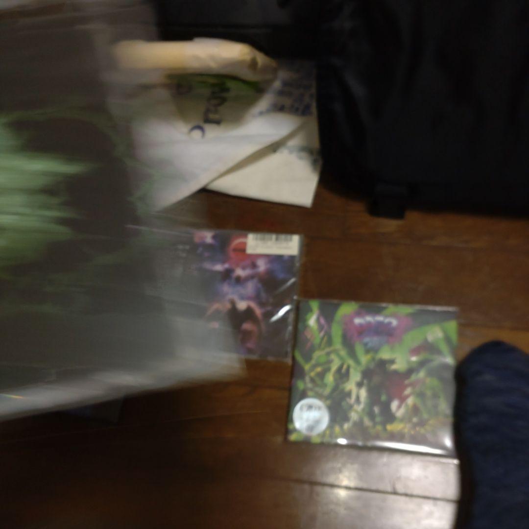 cvlte CDセット