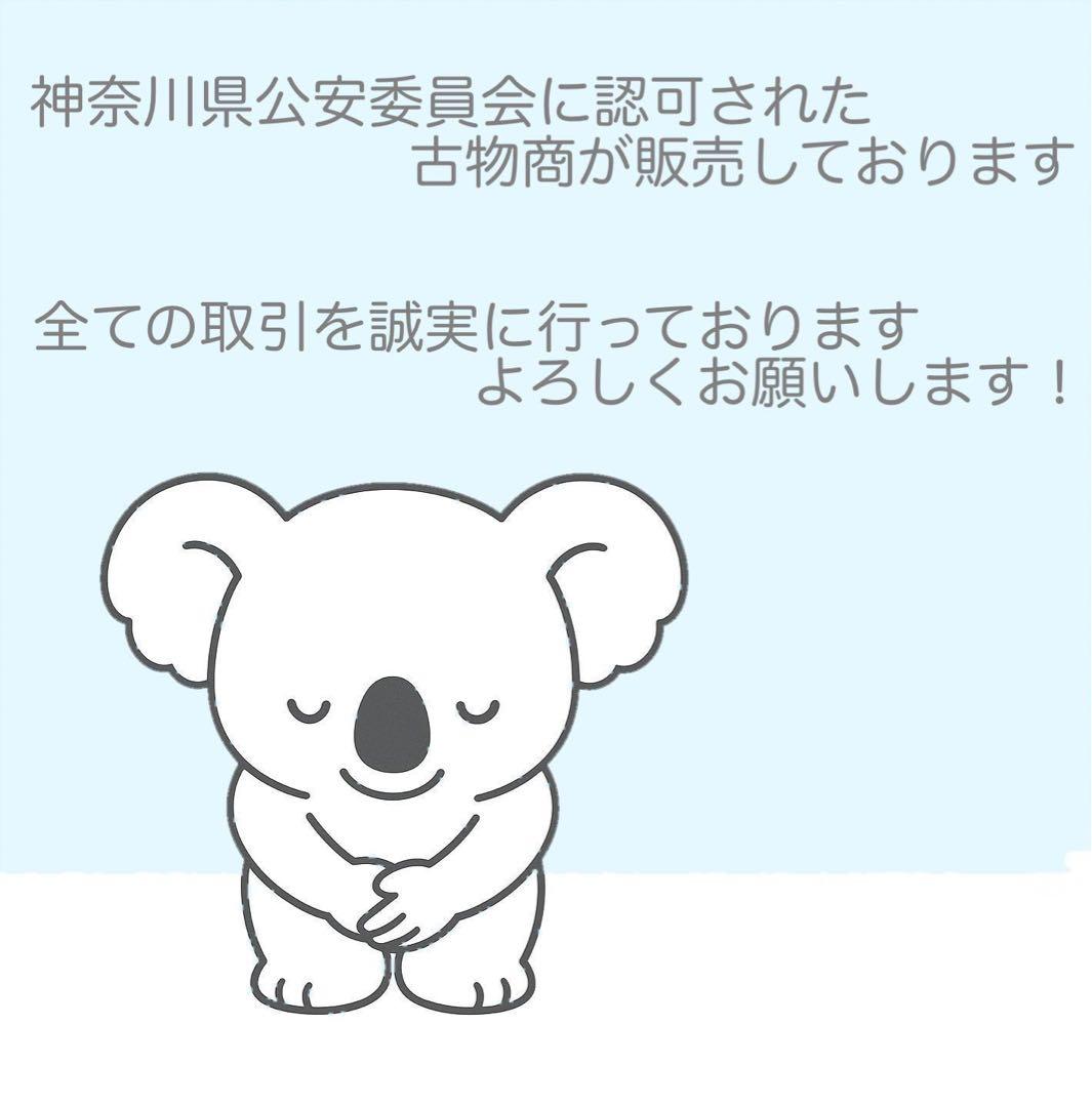 SONY DCR-TRV20 ビデオカメラ a5208