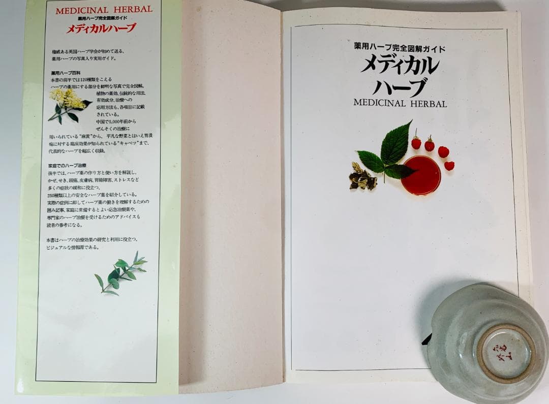 1996年◆ 英国ハーブソサエティ◆メディカルハーブ：薬用ハーブ完全図解ガイド