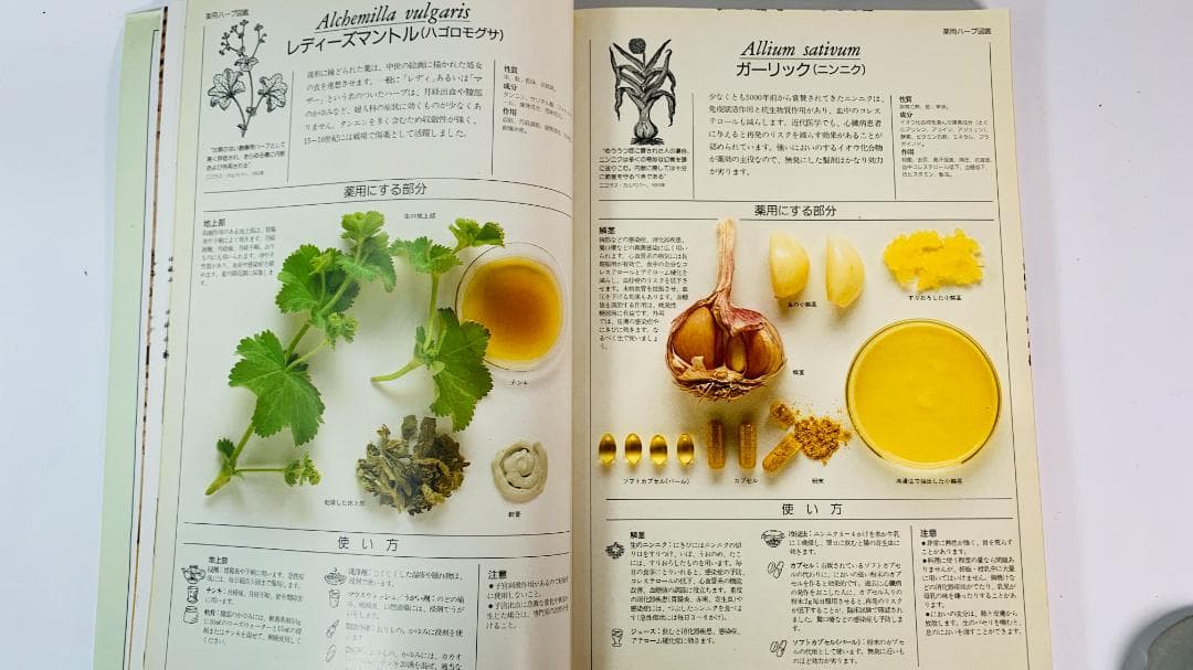 1996年◆ 英国ハーブソサエティ◆メディカルハーブ：薬用ハーブ完全図解ガイド