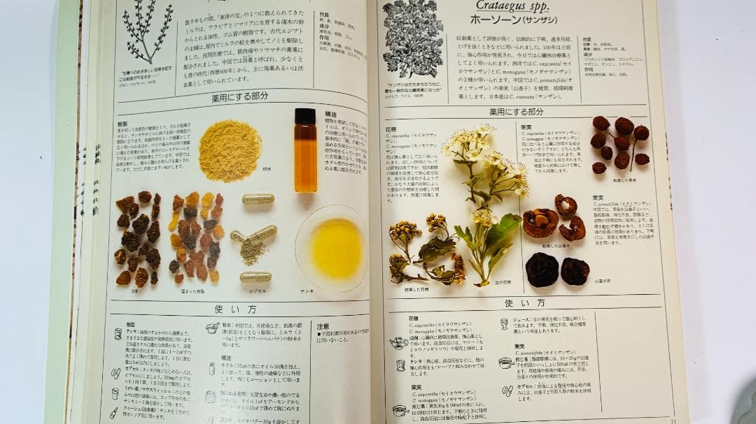 1996年◆ 英国ハーブソサエティ◆メディカルハーブ：薬用ハーブ完全図解ガイド