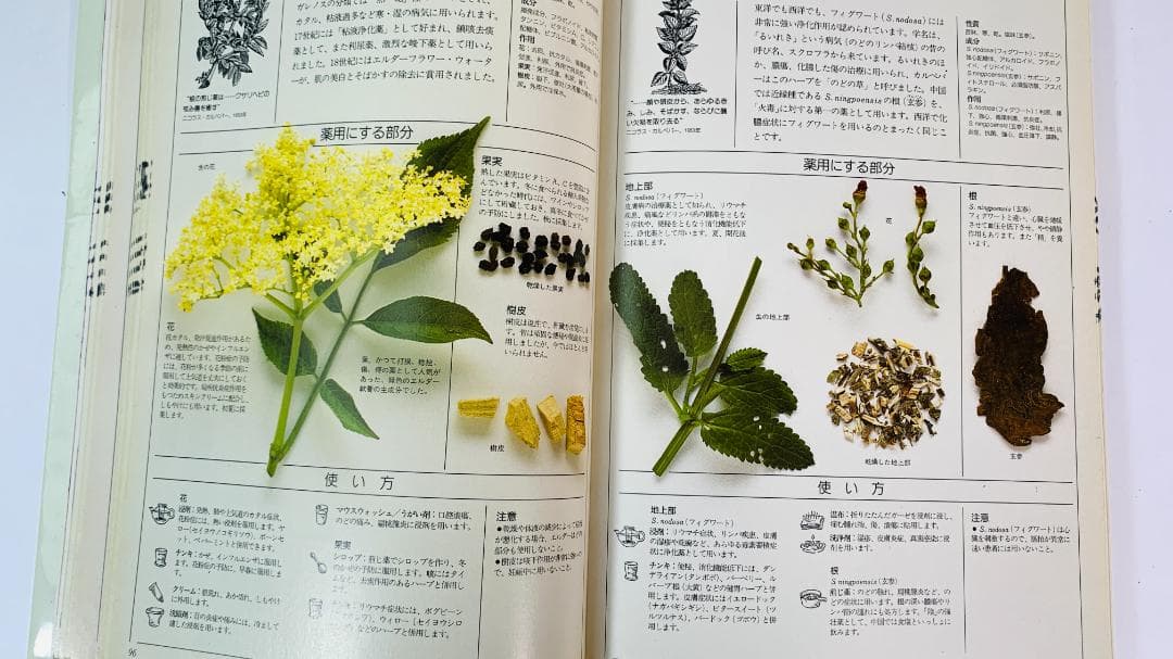 1996年◆ 英国ハーブソサエティ◆メディカルハーブ：薬用ハーブ完全図解ガイド