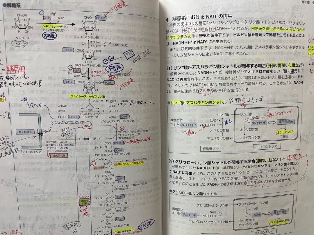 第112回薬剤師国家試験　青本、統一模試