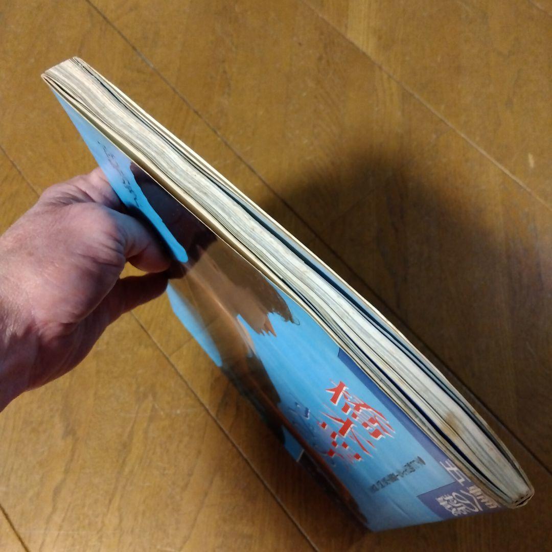 【超激レア写真集】橋本聖子のすべて（現・参議院議員）1988年発行，宮嶋泰子著