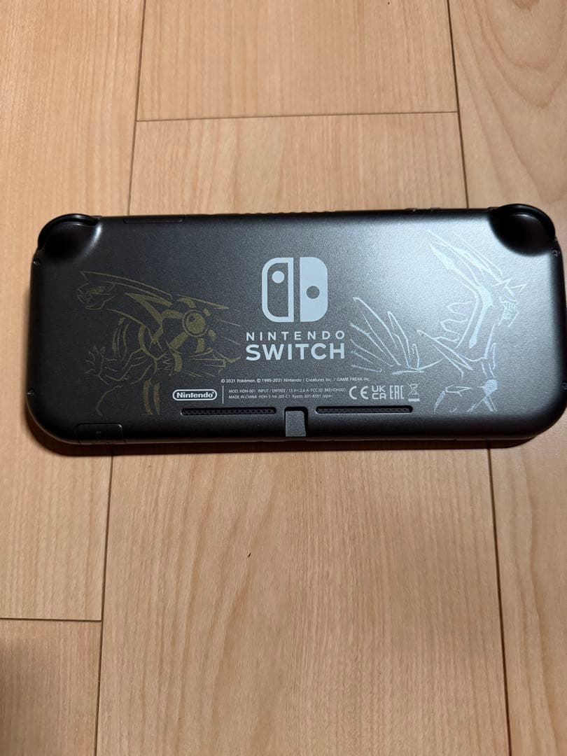 Nintendo Switch Lite グレー 本体 充電器 ケース付き