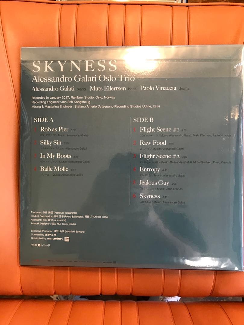 アレッサンドロ・ガラティ　SKYNES 重量盤　レコード　4/4