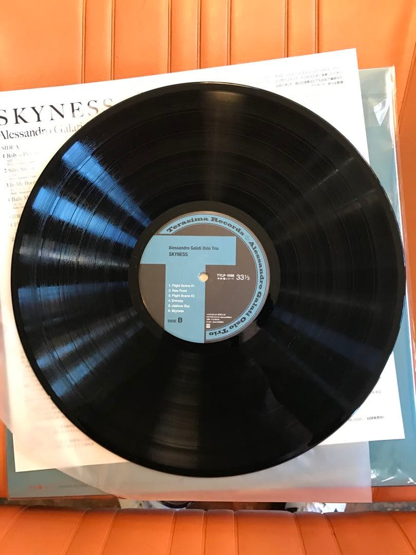 アレッサンドロ・ガラティ　SKYNES 重量盤　レコード　4/4
