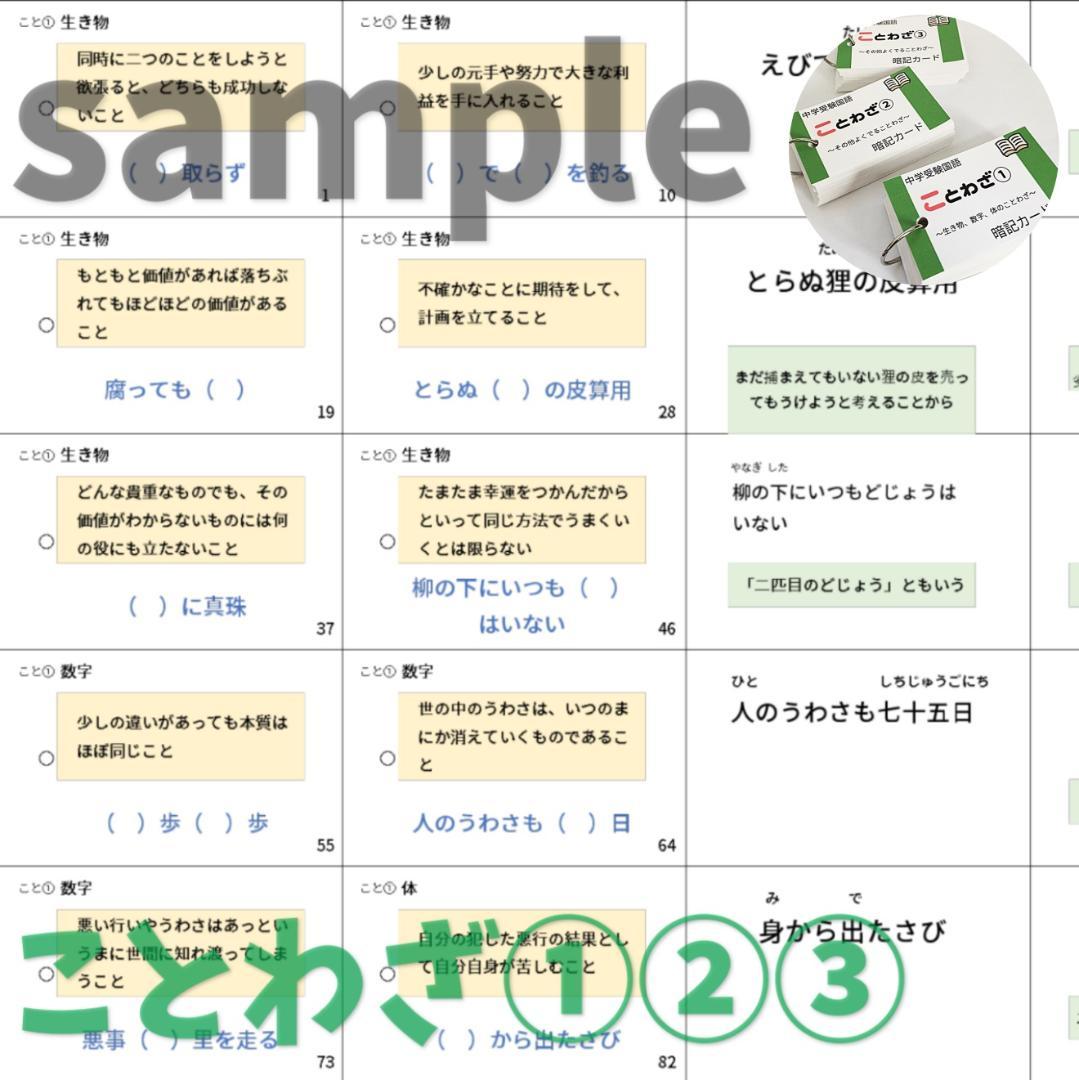 中学入試国語【069】国語重要語句カードセット　サピックス　言葉ナビ上下対応