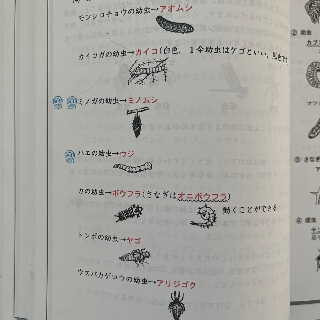希学園(首都圏)小5ベーシック理科