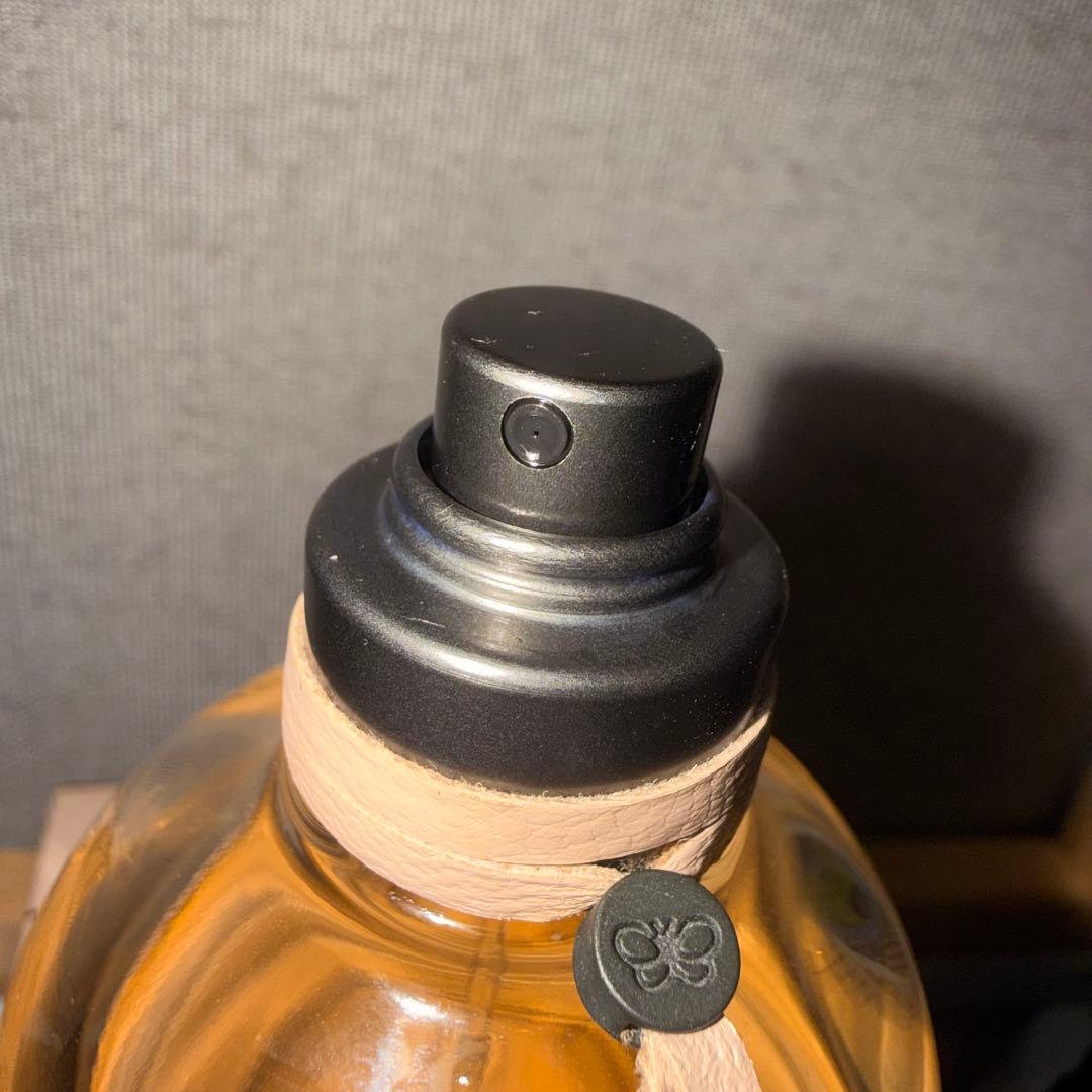 並行輸入品 ボッテガ ヴェネタ オードパルファム EDP SP 75ml