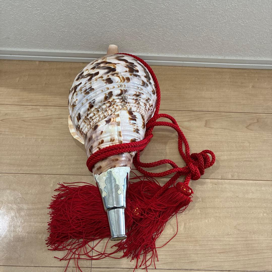 修験道法螺貝　赤紐付き　ほら貝　ホラガイ