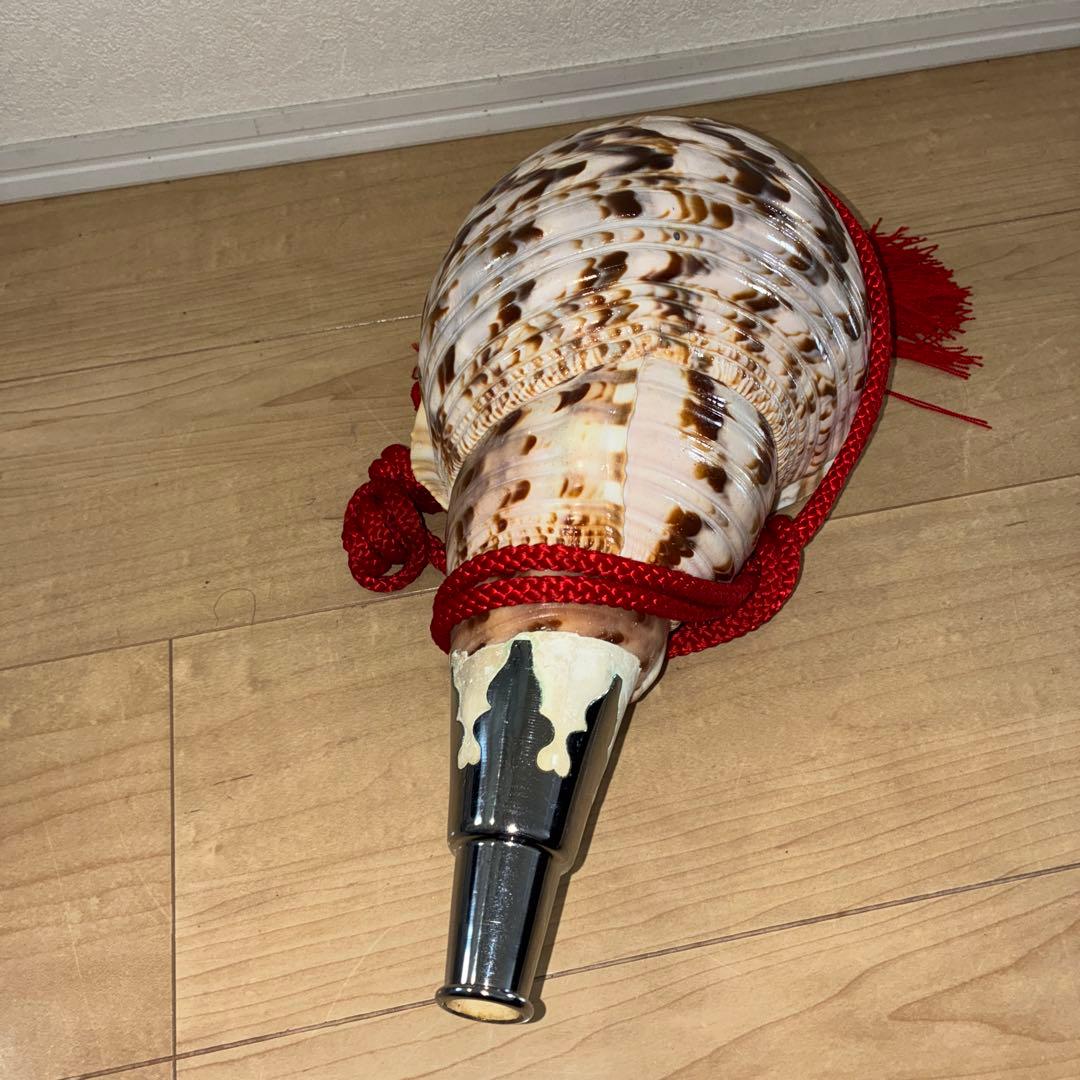 修験道法螺貝　赤紐付き　ほら貝　ホラガイ