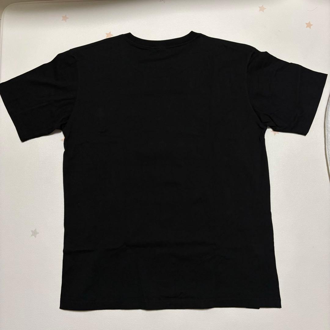 RADWIMPS アイスTシャツ XL