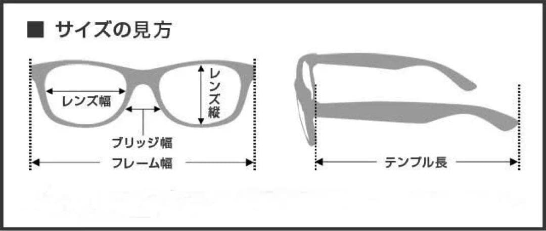 廃盤　旧ロゴ　GATORZ Radiator サングラス グレーレンズ　長渕剛