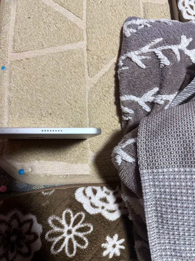 断捨離中