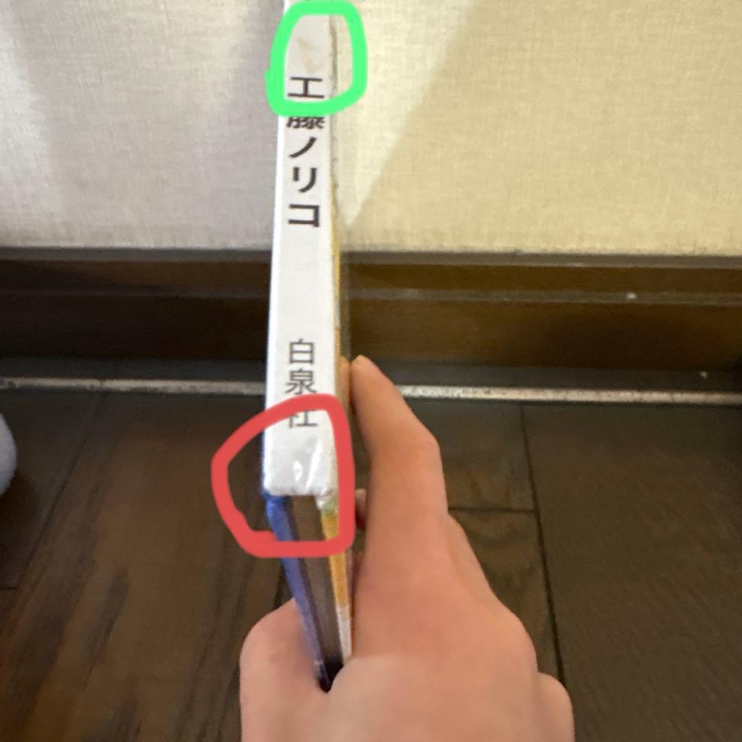 【イチゴさん専用】ノラネコぐんだん 絵本11冊　かるた