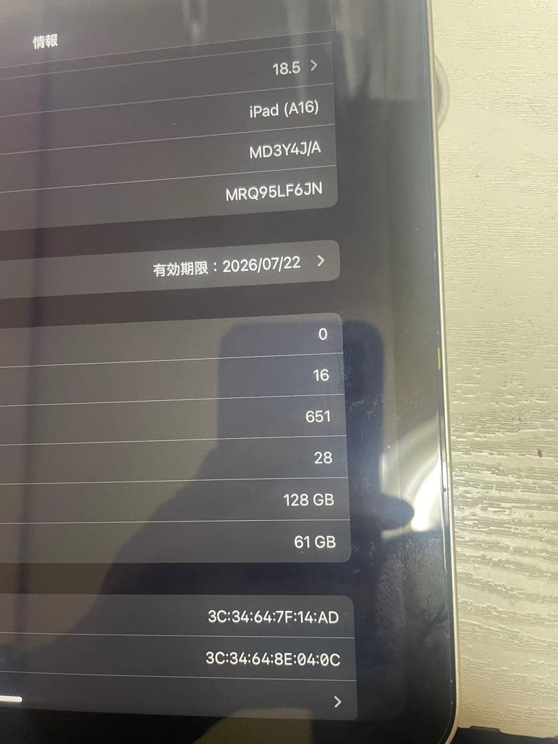 Apple 11 インチ iPad A16充電器 イヤホン付き