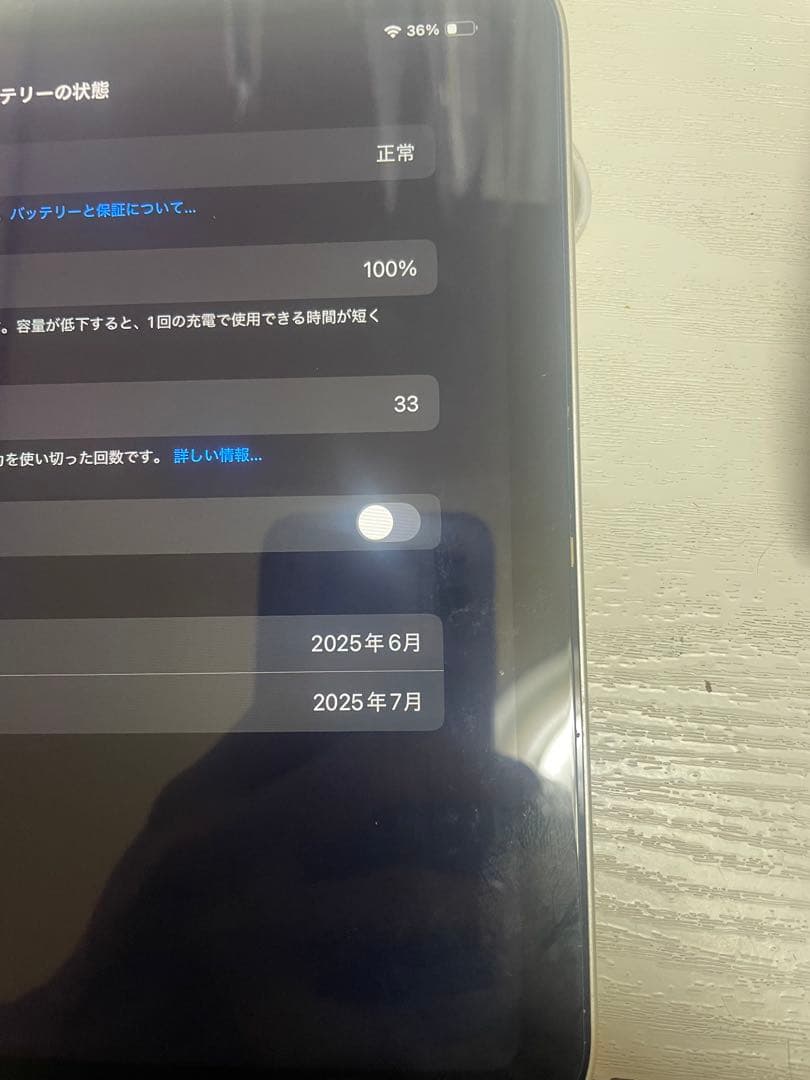 Apple 11 インチ iPad A16充電器 イヤホン付き