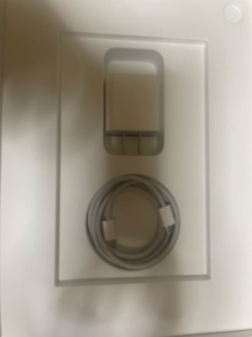 Apple 11 インチ iPad A16充電器 イヤホン付き