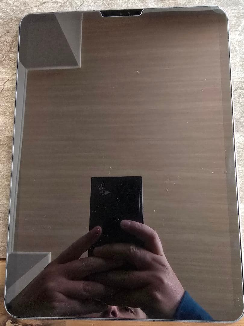 iPad Pro 11 第1世代 WiFi＋Cellular 512gb セット