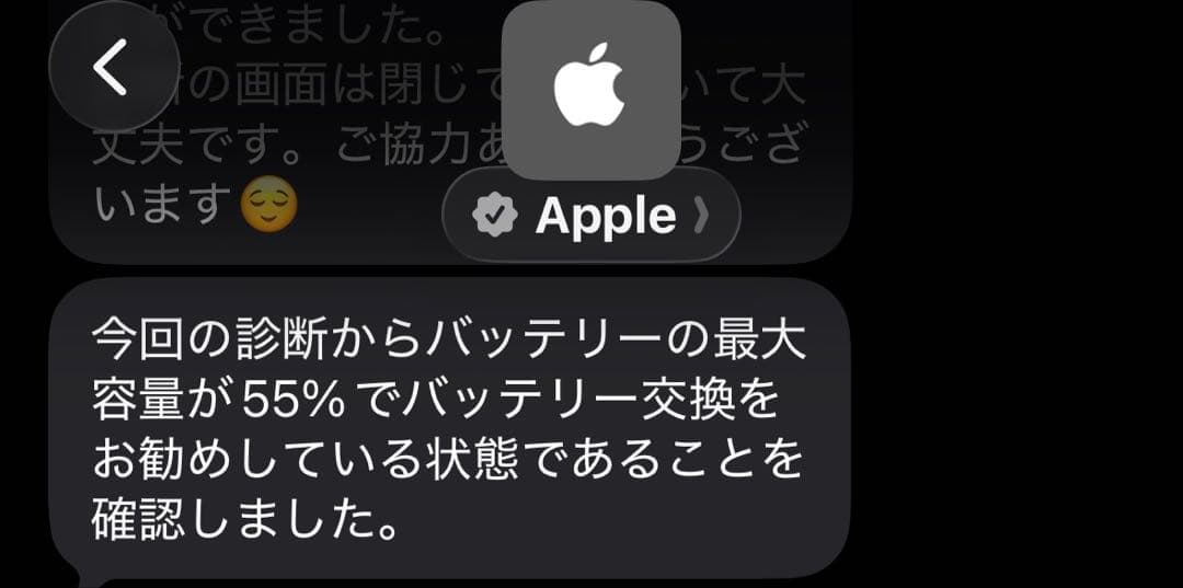 h*o様 iPad第7世代 128GB シルバー Wi-Fi＋Cellularモ