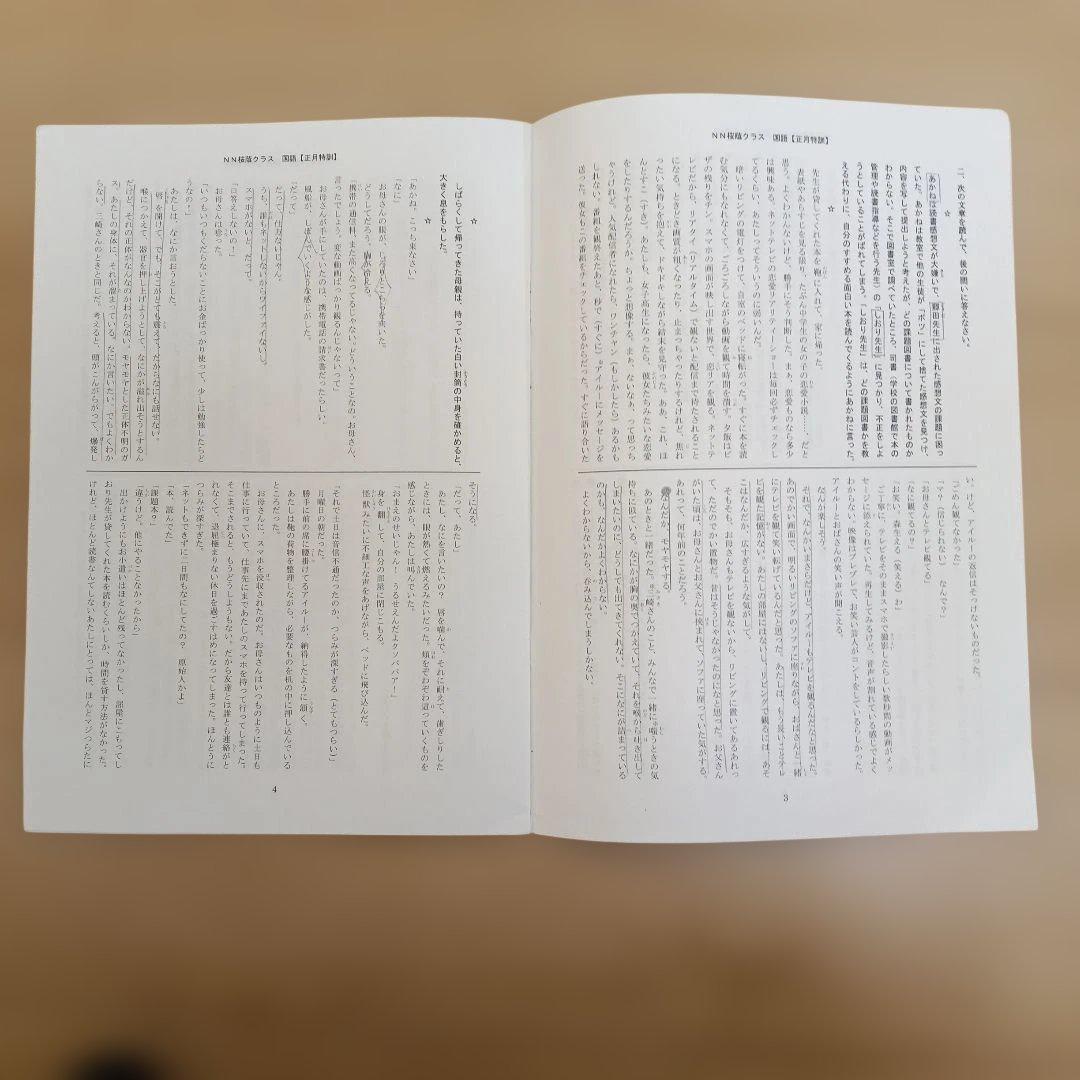 NN桜蔭　正月特訓・直前特講　2025年度