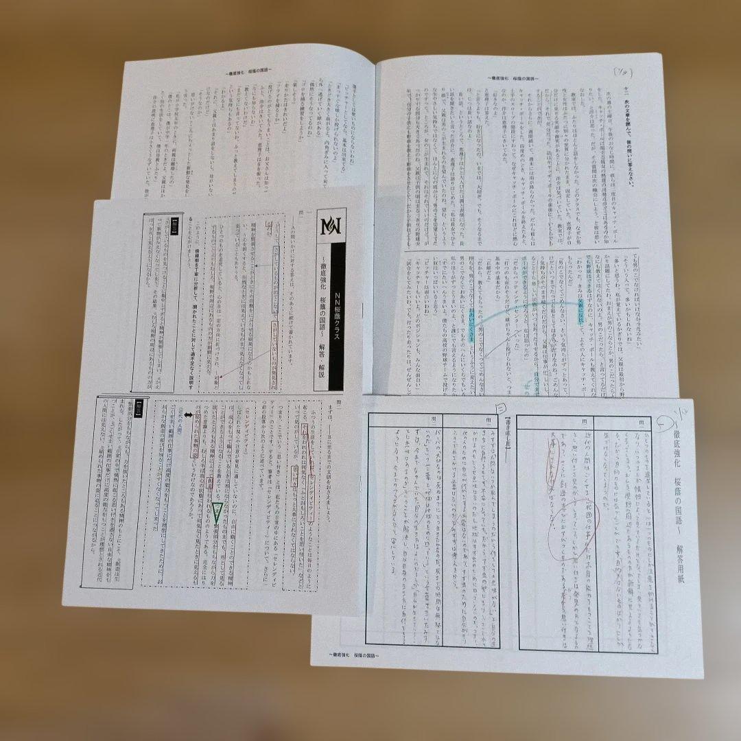 NN桜蔭　正月特訓・直前特講　2025年度