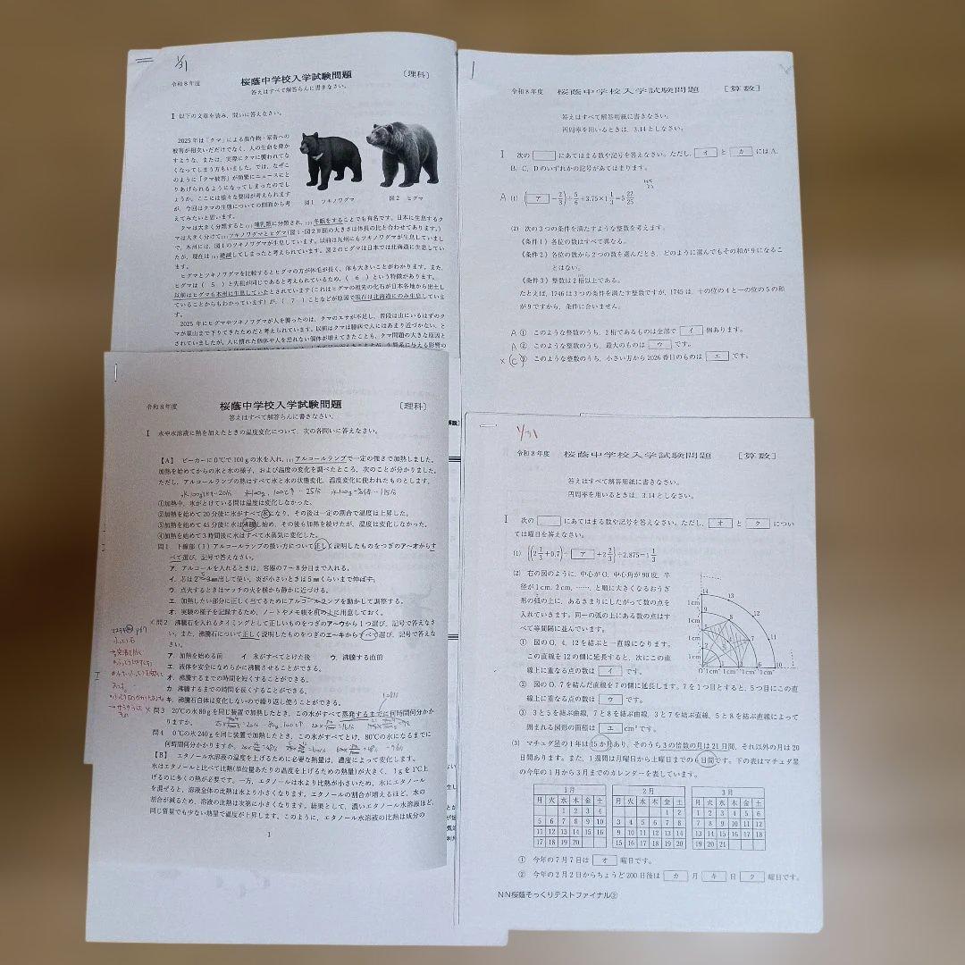 NN桜蔭　正月特訓・直前特講　2025年度