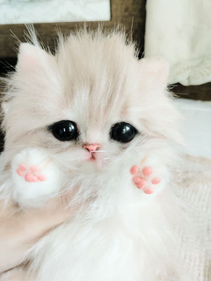 可愛いホイップちゃん♡ミヌエット子猫♡アートドール♡ぬいぐるみ♡