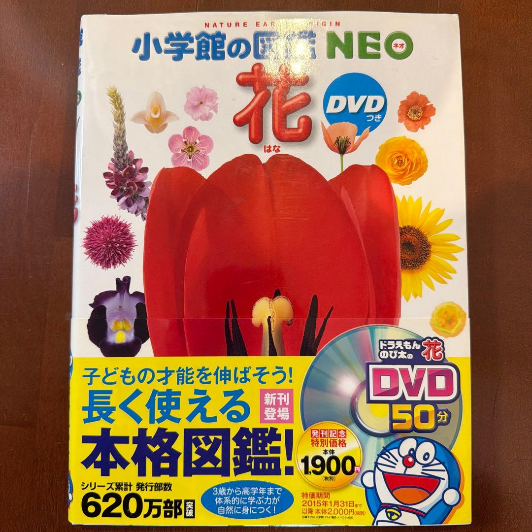 小学館の図鑑NEO 昆虫・恐竜・動物図鑑他