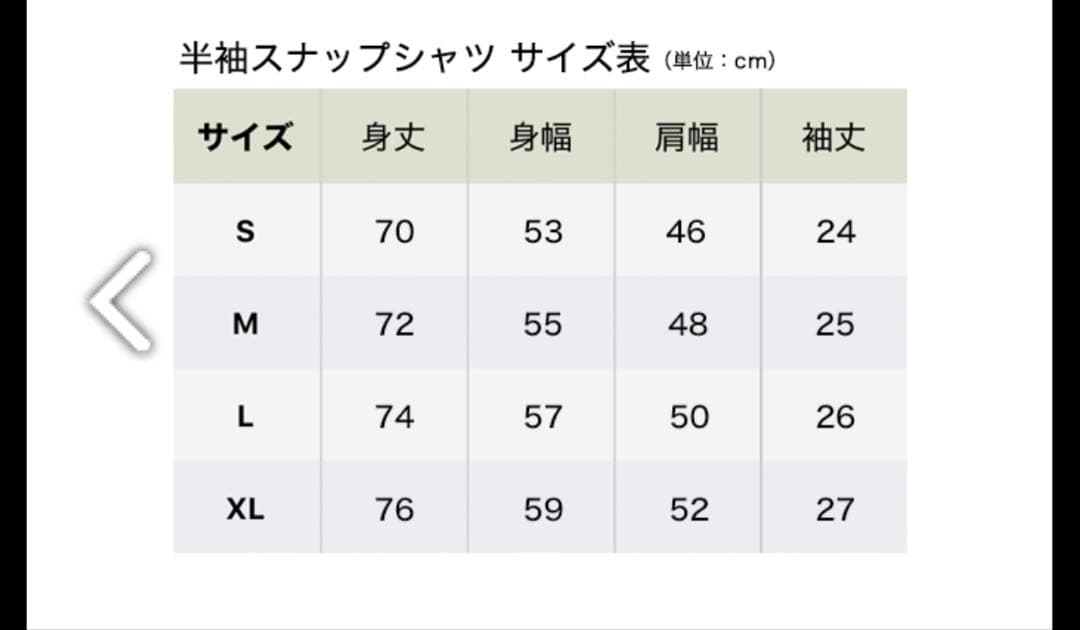エレカシ　野音2023 スナップシャツ