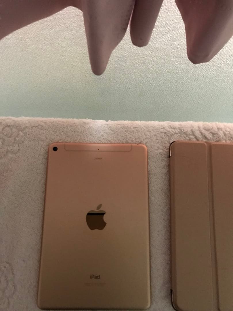 超美品iPad mini 第5世代 Cellular 256GBオマケ沢山付き