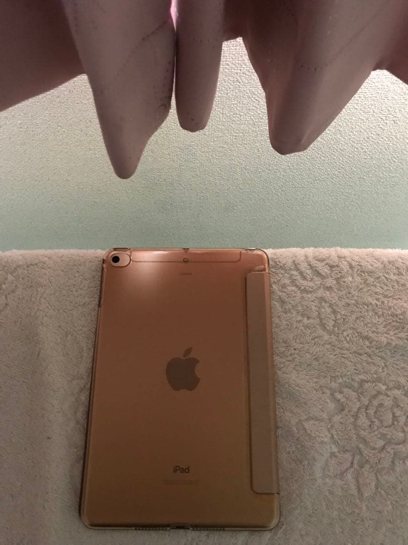 超美品iPad mini 第5世代 Cellular 256GBオマケ沢山付き