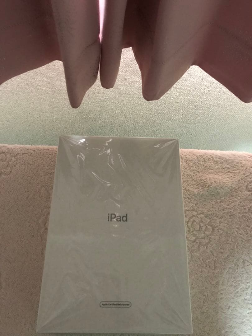 超美品iPad mini 第5世代 Cellular 256GBオマケ沢山付き