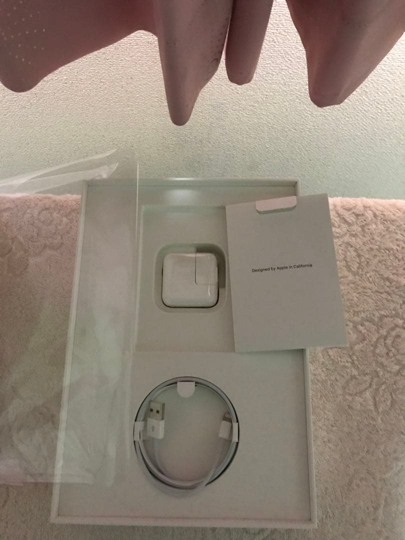 超美品iPad mini 第5世代 Cellular 256GBオマケ沢山付き