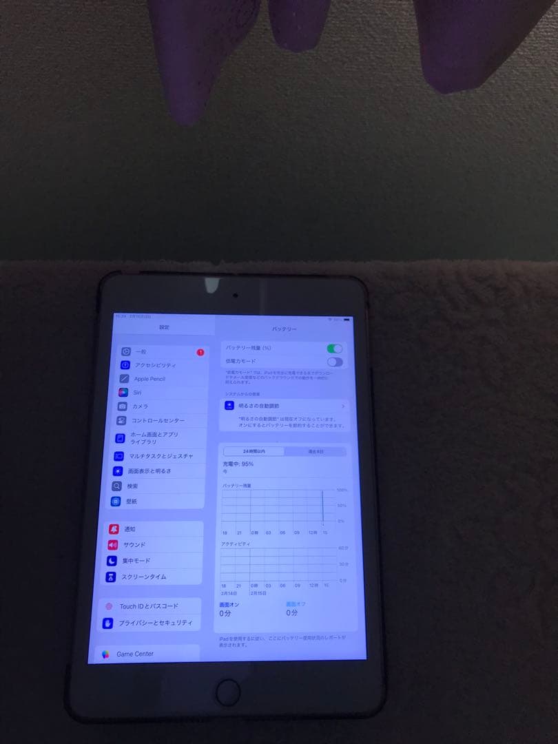 超美品iPad mini 第5世代 Cellular 256GBオマケ沢山付き