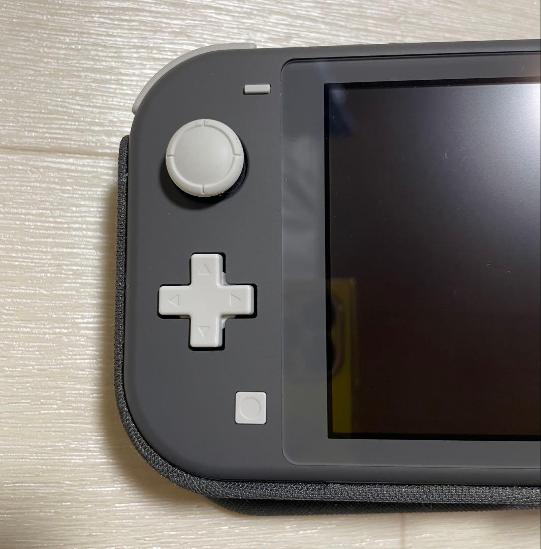 Nintendo Switch Lite グレー 本体　＋おまけ付き