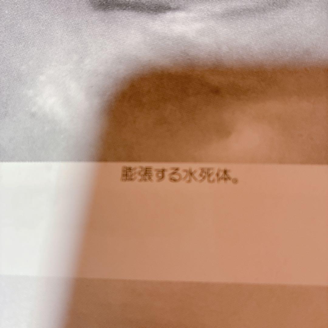 デス・アクシデント　死体写真集
