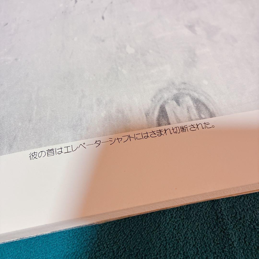 デス・アクシデント　死体写真集