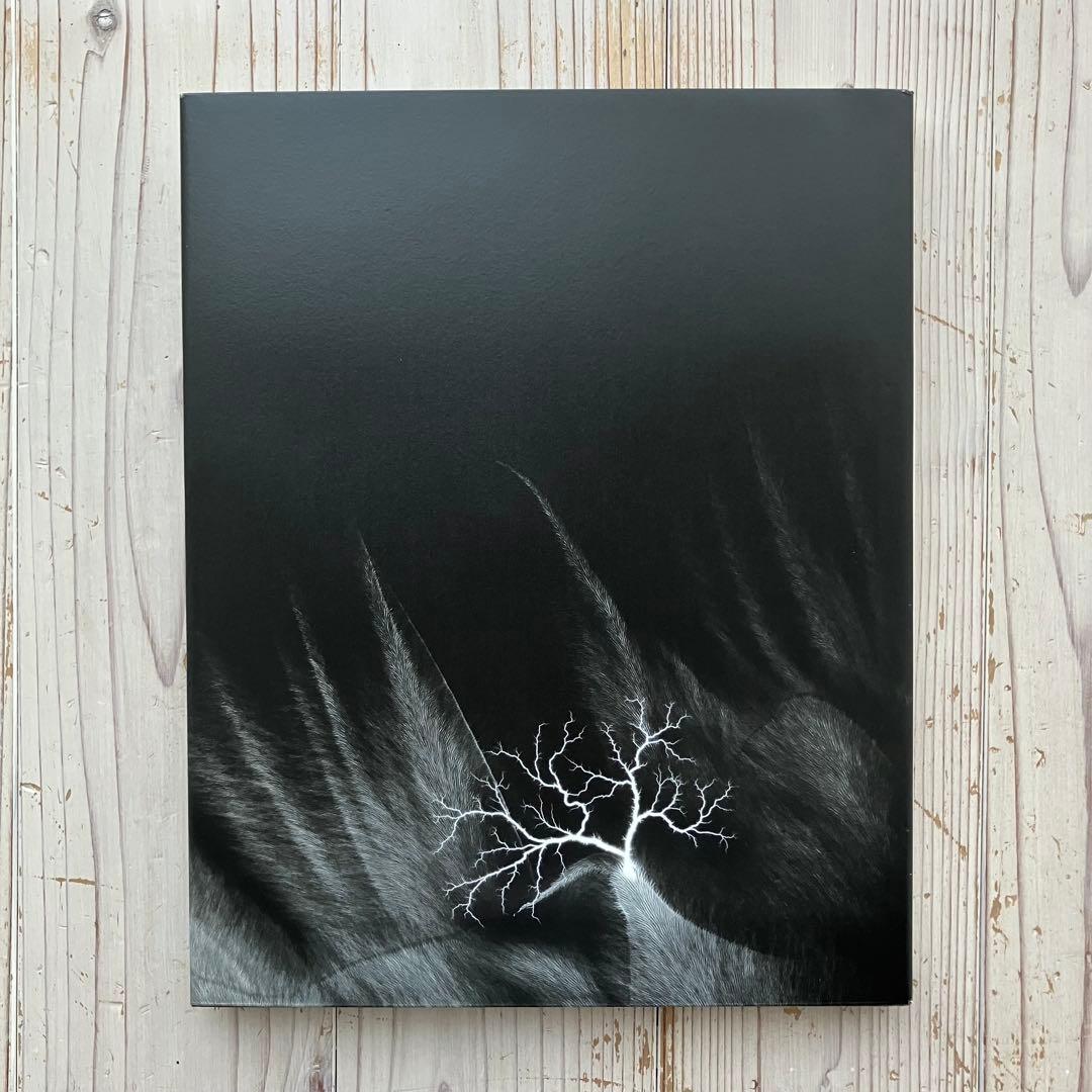 【杉本博司・Nature of light・光の自然】